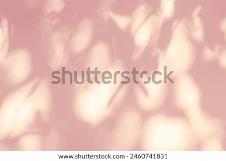 Leaf shadow and light on wall pink background. Nature tropical leaves tree branch and plant shade.Sunlight from sunshine on wall texture for foliage mockup background wallpaper, shadow overlay effect