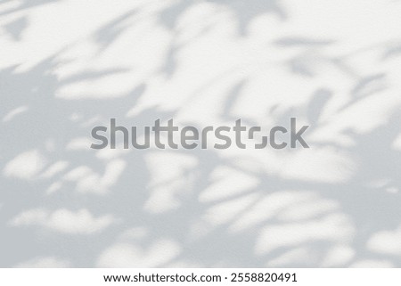 Image, Stock Photo Shading sunshine Sunlight