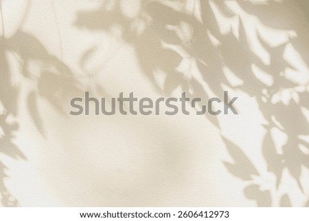 Leaf shadow and light on wall beige background. Nature tropical gray leaves plant and tree branch shade with sunlight on wall texture for background wallpaper and design, shadow overlay effect