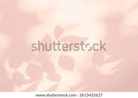 Leaf shadow and light on wall pink pastel background. Nature tropical leaves shadows tree branch and plant shade with sunlight sunshine on wall for wallpaper, shadow overlay effect foliage mockup