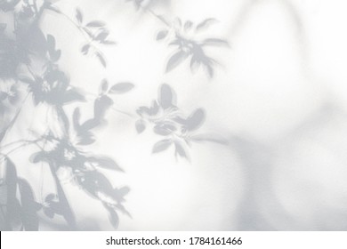 Leaf shadow on wall. Nature tropical leaves tree branch and plant shade with sunlight from sunshine dappled on white wall texture for background wallpaper and any design - Shutterstock ID 1784161466