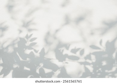 Leaf shadow and tree branch background. Nature leaves tree branch light bokeh shadows sunlight sunshine shade on white wall texture for background wallpaper, shadows overlay effect foliage mockup