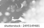 Leaf shadow from tree branches in sunlight as neutral blurred background for graphic foliage shadow overlay effect