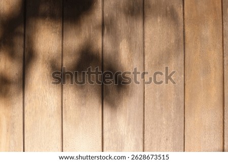 Leaf shadows cast on wooden house fence textured under bright sunlight