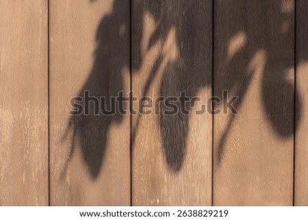 Leaf shadows cast on wooden house fence textured under bright sunlight