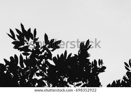 Similar – Image, Stock Photo Trees reflected in mud puddle