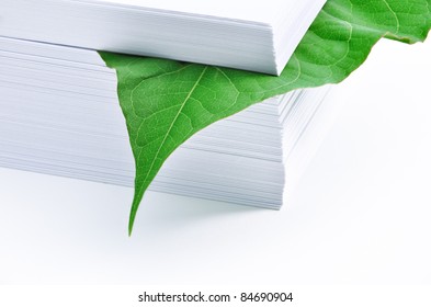 Leaf In Stack Of Paper. Concept - The Protection Of The Environment. Paper Was A Tree With Green Leaves. Call To Reduce Paper Use.