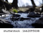 Leaf stuck to rock in Tiny stream