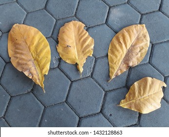 Leaf textures and background. photo for lettering background. - Shutterstock ID 1432128863