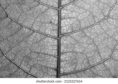 456,176 Detail Photography Images, Stock Photos & Vectors | Shutterstock