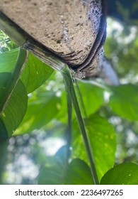 Leaf in another’s view, maybe being able to change our view of something.     upside-down leaf side