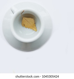 Leaf in a white cup