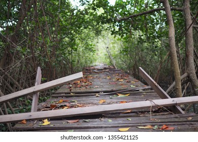 leaf in wood bridge