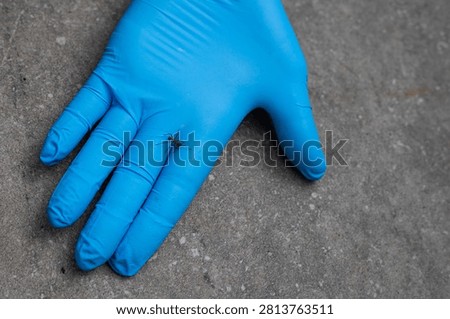 A leafcutter ant on a hand