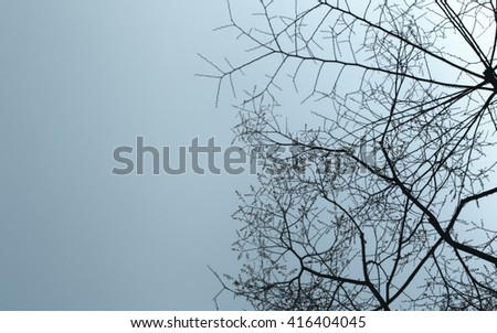 Similar – Foto Bild Fog Nebel Baum