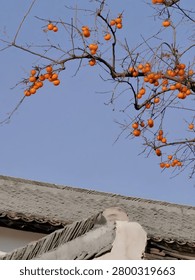 A leafless tree branch laden with bright orange persimmons stretches over a traditional roof under a clear blue sky.