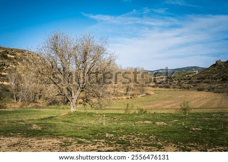 Similar – Image, Stock Photo Winter landscape of Guadalajara, Spain from above