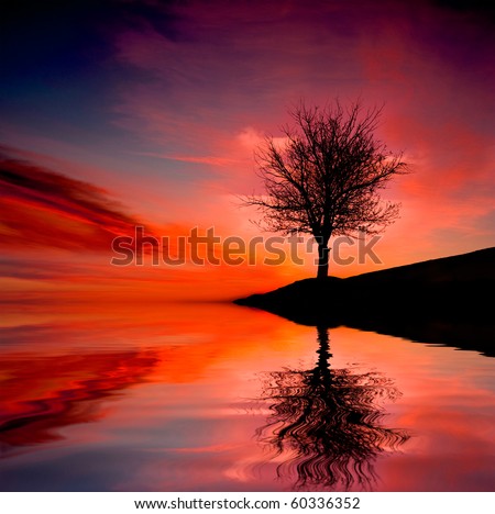 Leafless tree near lake on sunset background sky