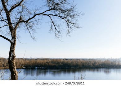 A leafless tree stands against a clear sky, overlooking a serene river. The opposite bank is lined with dense, bare trees. The scene exudes tranquility, suggesting late autumn or winter.  - Powered by Shutterstock