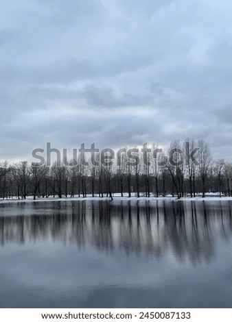 leafless trees reflection on the pond surface, early spring time, cloudy sky
