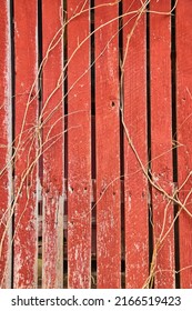 Leafless Vines Over Faded Red Barnwood Boards