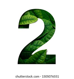 Leafs number 2 made of Real alive leafs with Precious paper cut shape of number. Leafs font. - Shutterstock ID 1505076551