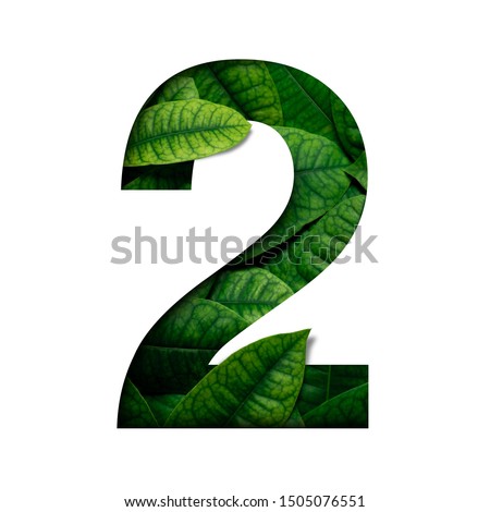 Leafs number 2 made of Real alive leafs with Precious paper cut shape of number. Leafs font.