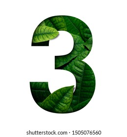 Leafs number 3 made of Real alive leafs with Precious paper cut shape of number. Leafs font. - Shutterstock ID 1505076560