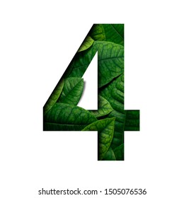 Leafs Number 4 Made Of Real Alive Leafs With Precious Paper Cut Shape Of Number. Leafs Font.