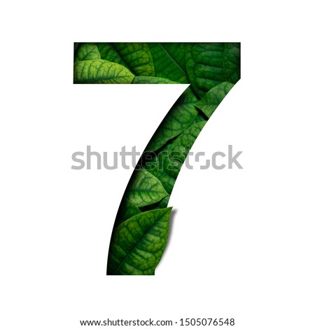 Leafs number 7 made of Real alive leafs with Precious paper cut shape of number. Leafs font.
