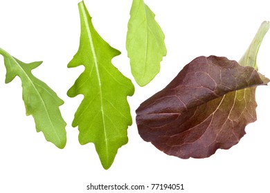 Leafs Of Rocketsalad Isolated On White