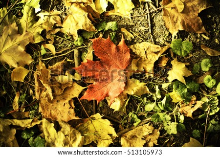 leaft