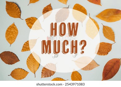 Leafy background with the words How much written in bold letters. The image has a casual and relaxed vibe, with the leaves scattered around the background