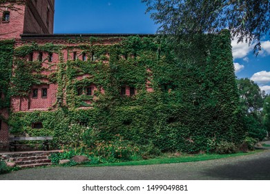 Leafy building from red bricks