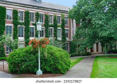 Leafy College Campus With Ivy Covered Building