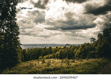 Leafy forest under cloudy sky