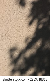 Leafy Shadows Dancing On The Wall Of A Building.