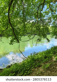 Leafy Tree Branches Overlooking a Calm Green River

Peaceful riverside scene with lush green tree branches hanging over calm water on a bright summer day.