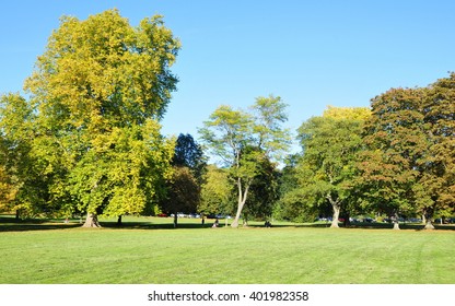Leafy Treeline and Lush Lawn in a Beautiful Green Park