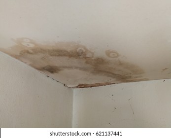 Leak In The Ceiling Stock Photos Images Photography Shutterstock