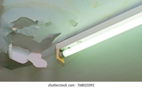 Leaking Ceiling With Fallen Off Plaster And Fluorescent Lamp.