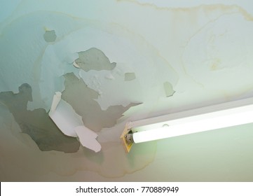 Leaking Ceiling With Fallen Off Plaster And Fluorescent Lamp.