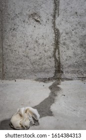 Leaking Crack In A Basement Wall With A Wet Rag In A Pool Of Water On The Floor