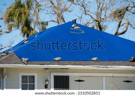 Leaking house roof covered with protective tarp sheets against rain water leaks until replacement of asphalt shingles. Damage of building rooftop as aftermath of hurricane Ian in Florida