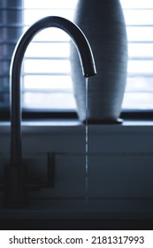 Leaking Kitchen Faucet Needs Repair