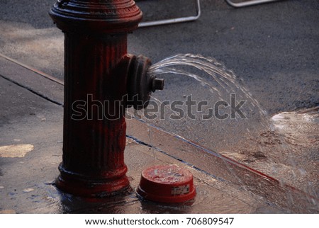 Leaking Red Fire Hydrant in New York City