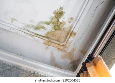 a leaking  vintage ceiling covered with cracks and mold, indoor shot - Shutterstock ID 2192504525