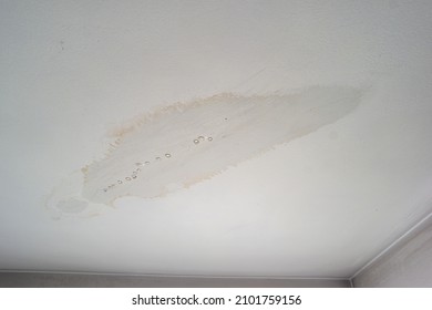 Leaky Roof Dampness In Bedroom Ceiling Walls. Water Droplets Forming And Dripping From Damp Ceiling From Rain Water Flooding. Close Shot, No People.