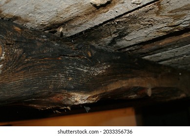 Leaky Roof And Rotten Wooden Rafters.