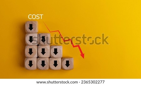 Lean or Cost reduction concept. Optimize manufacturing management. Decreasing company expenses to maximize profits. wooden cube with the words cost and red down arrows. Business improvement.
